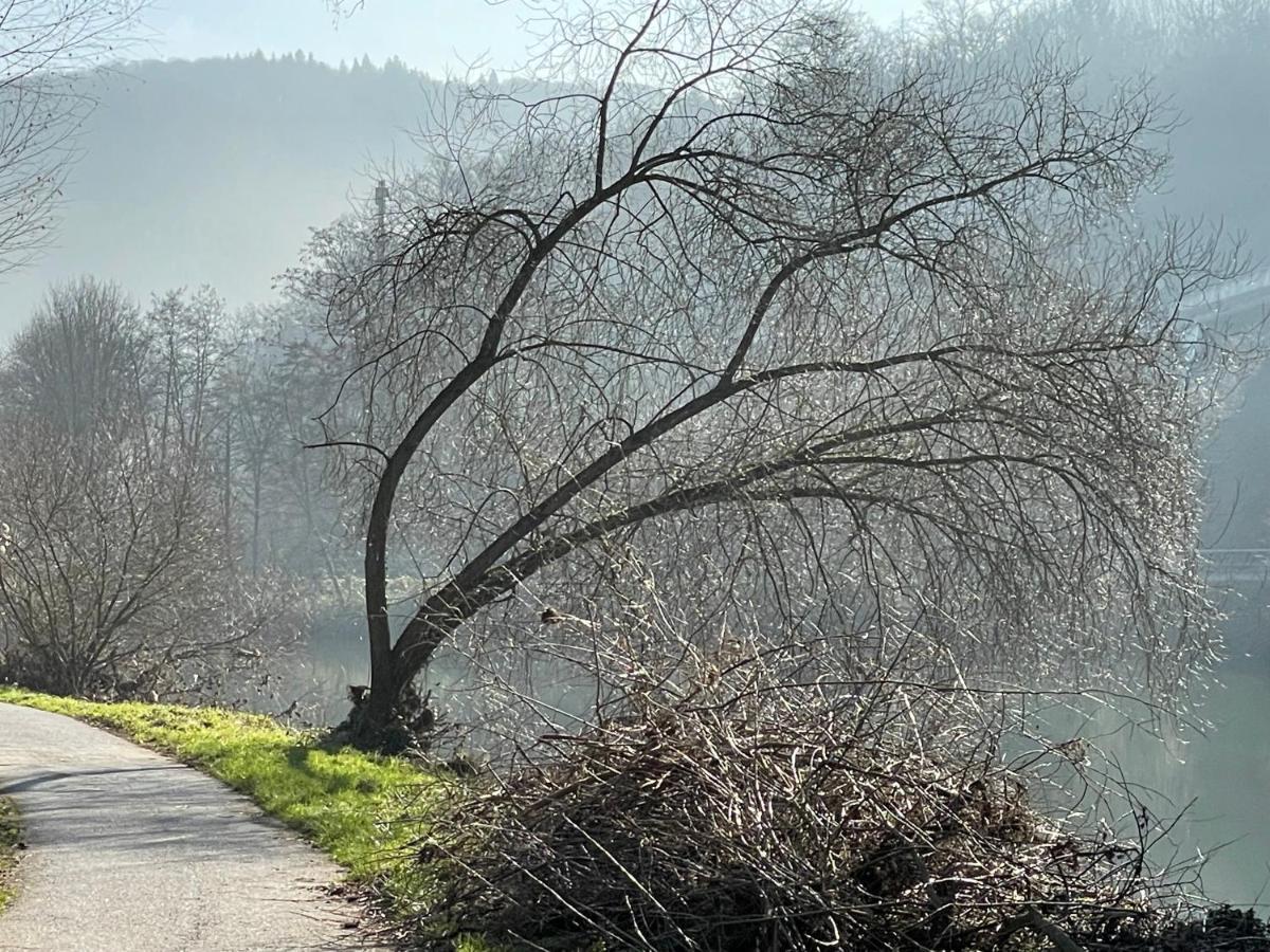 Ferienwohnung Bei Bad Ems Im Lahntal Fachbach Dış mekan fotoğraf