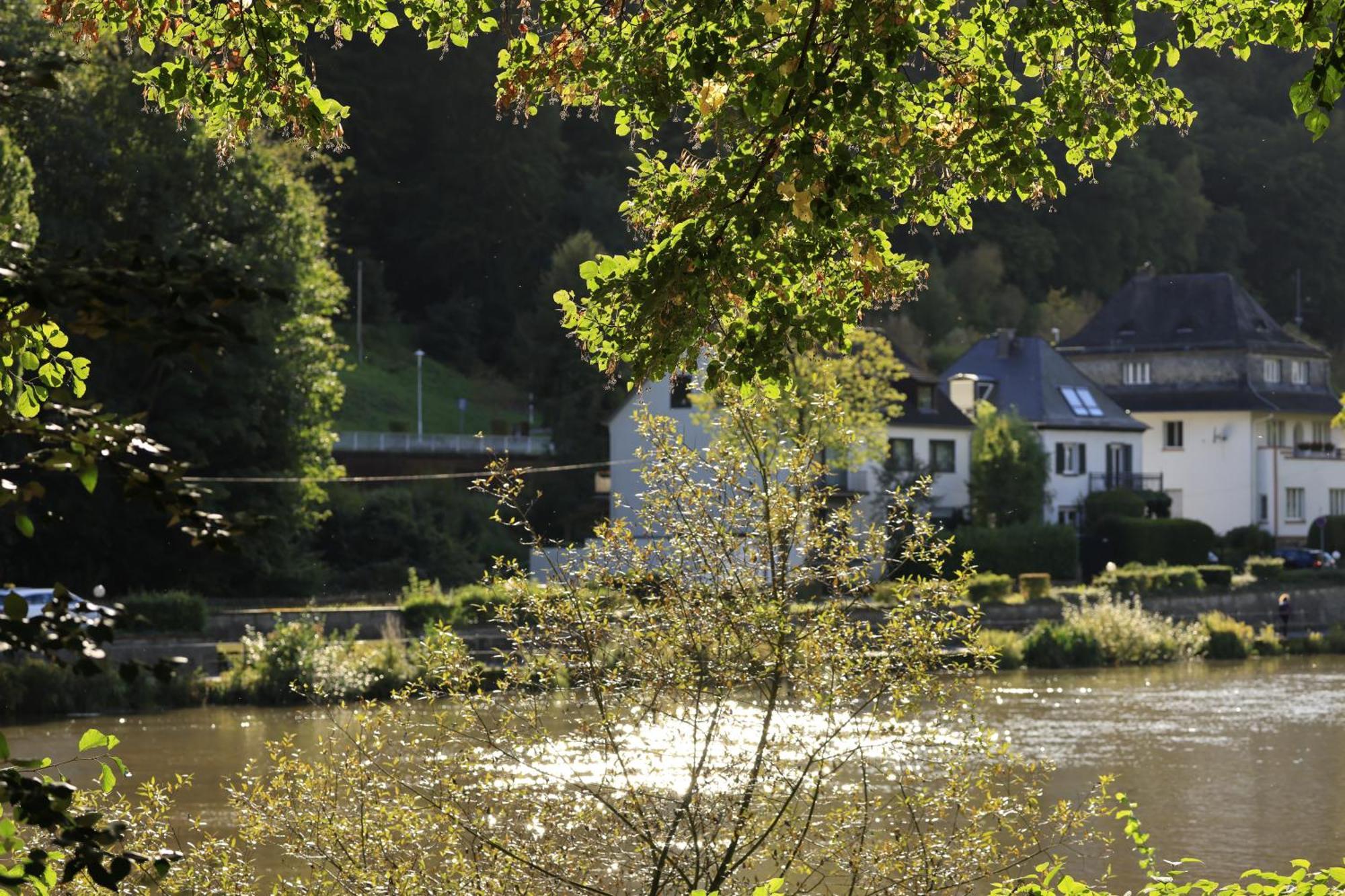 Ferienwohnung Bei Bad Ems Im Lahntal Fachbach Dış mekan fotoğraf